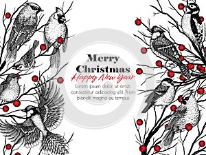 Vector illustration of 9 winter birds